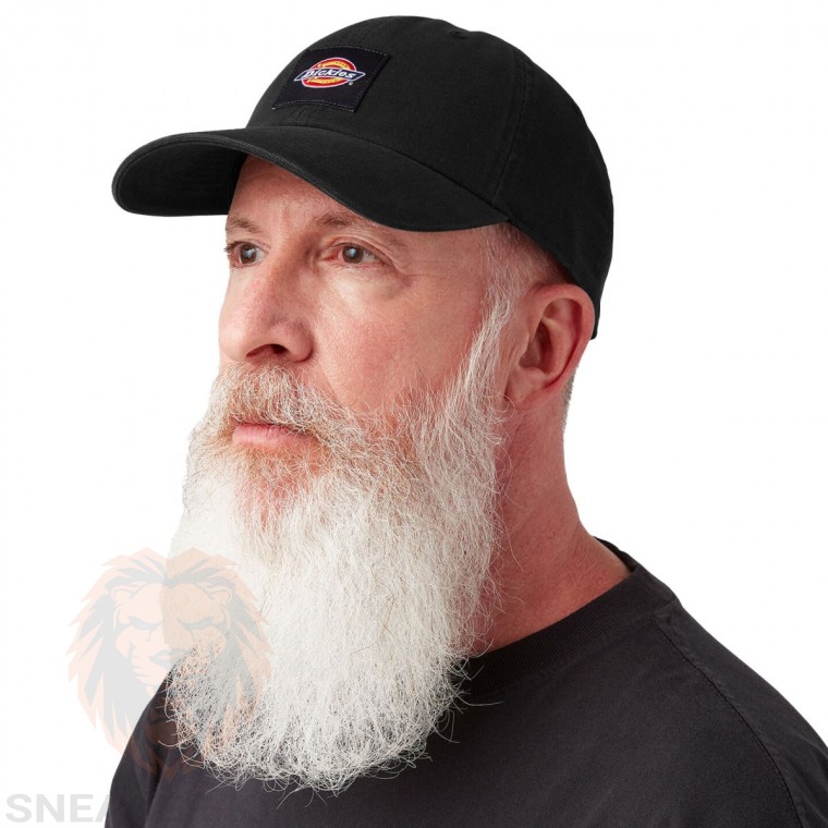 Бейсболка  Dickies canvas cap